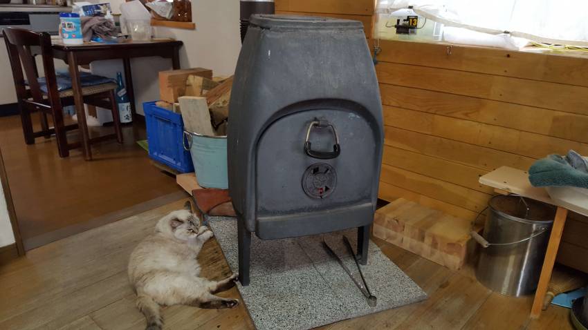 薪ストーブで猫と一緒に暮らしています