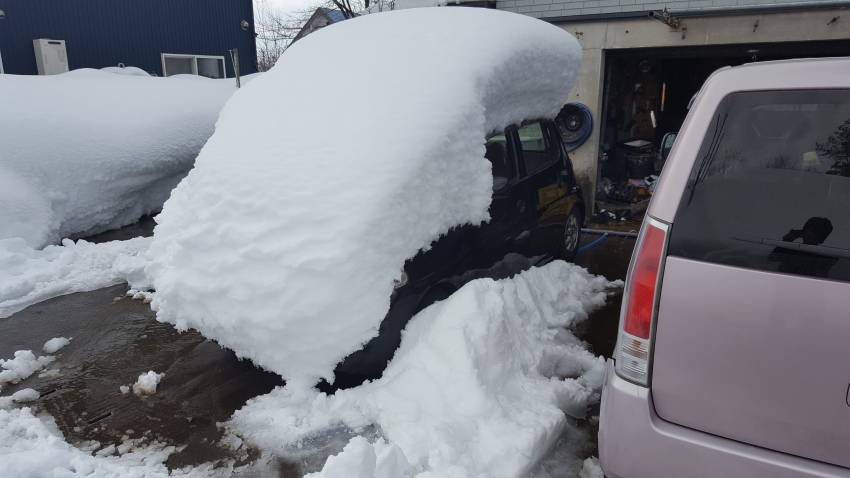 車が寿司みたいになります