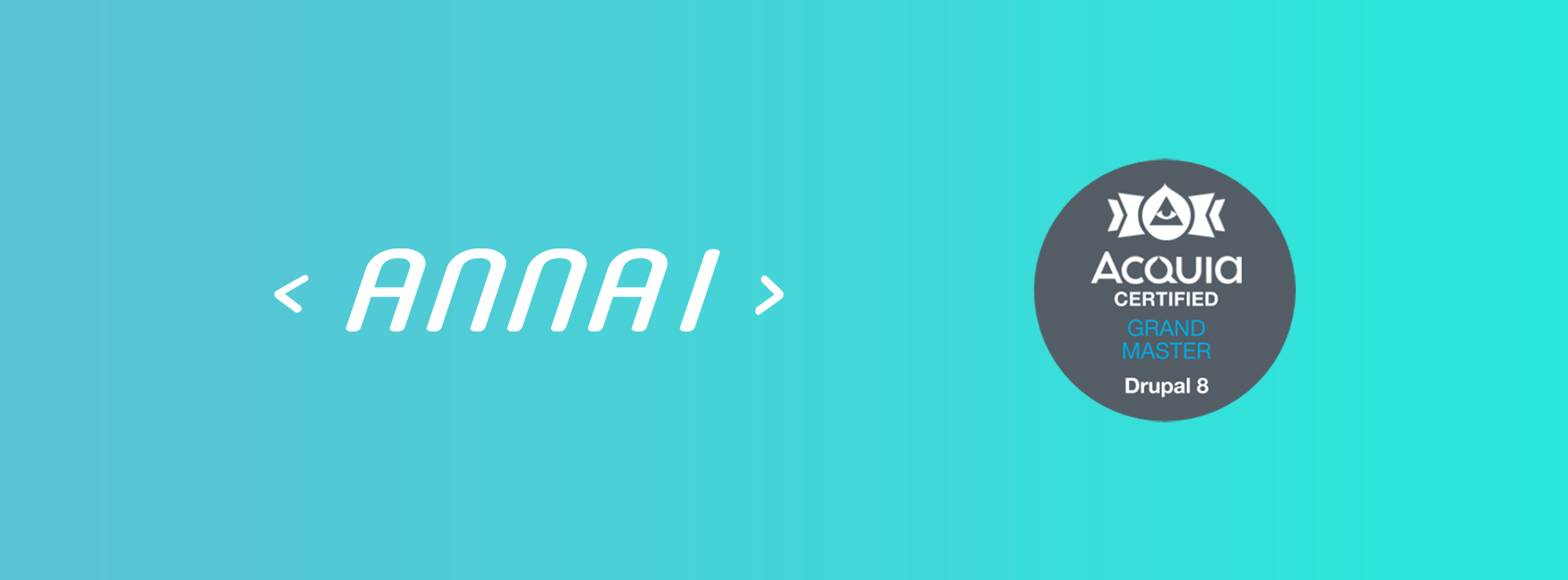 ANNAI logo