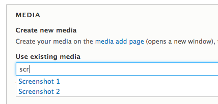choosing-drupal-media