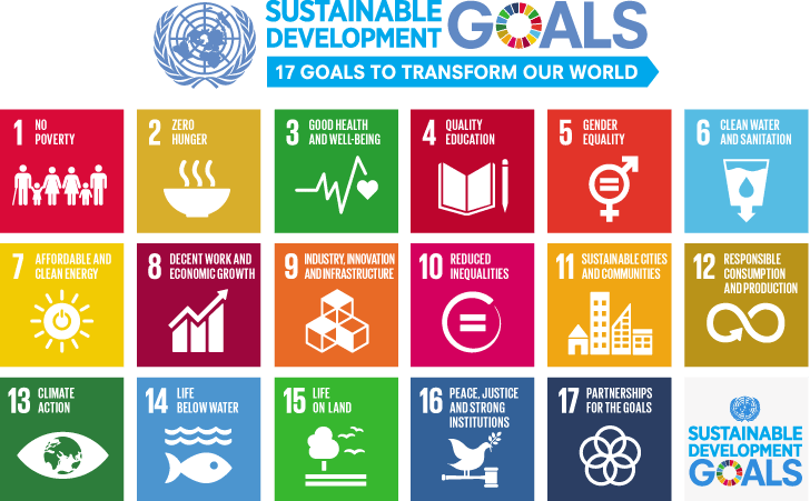 17 の SDGs ゴールの一覧