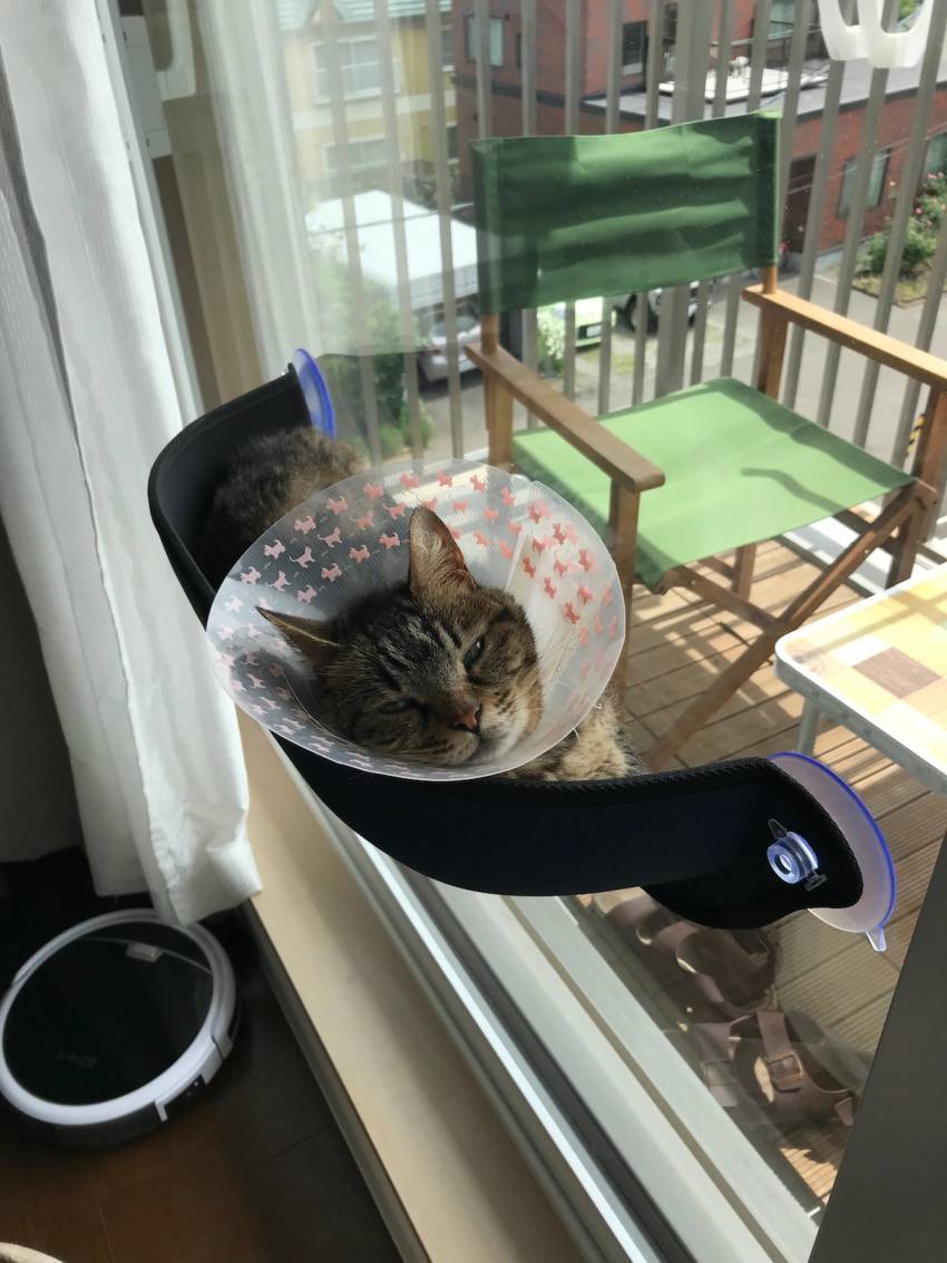 反対側はこんな感じ