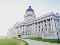 government