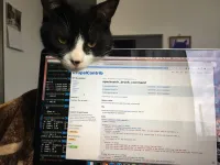 はじめてWEB業界で働いた私が、2年半の完全リモートワークで感じたこと　